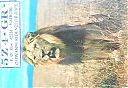 Filename=5z4gr.jpg
Filesize=232KiB
Dimensions=597x412
Date added=Jul 06, 2018 5z4gr.jpg
