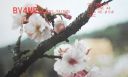 Filename=bv4me.jpg
Filesize=155KiB
Dimensions=592x358
Date added=Jun 25, 2018 bv4me.jpg