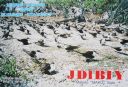 jd1mjd1biya.jpg
