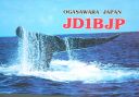 jd1ojd1bjp.jpg
