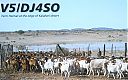 v51dj4so~0.jpg