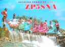 zp5sna.jpg